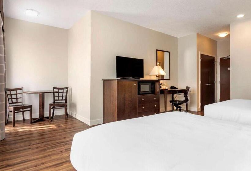 수피리어 룸, Econo Lodge Inn & Suites