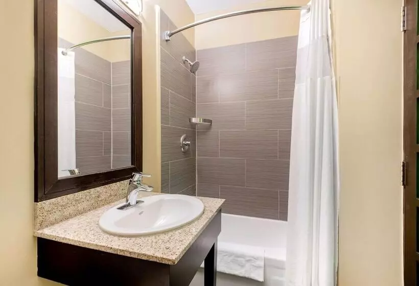 デラックスルーム, La Quinta By Wyndham Oshawa
