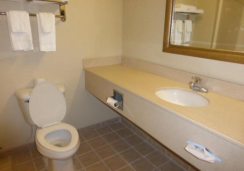 Номер Стандарт Индивидуальный, Olimpia