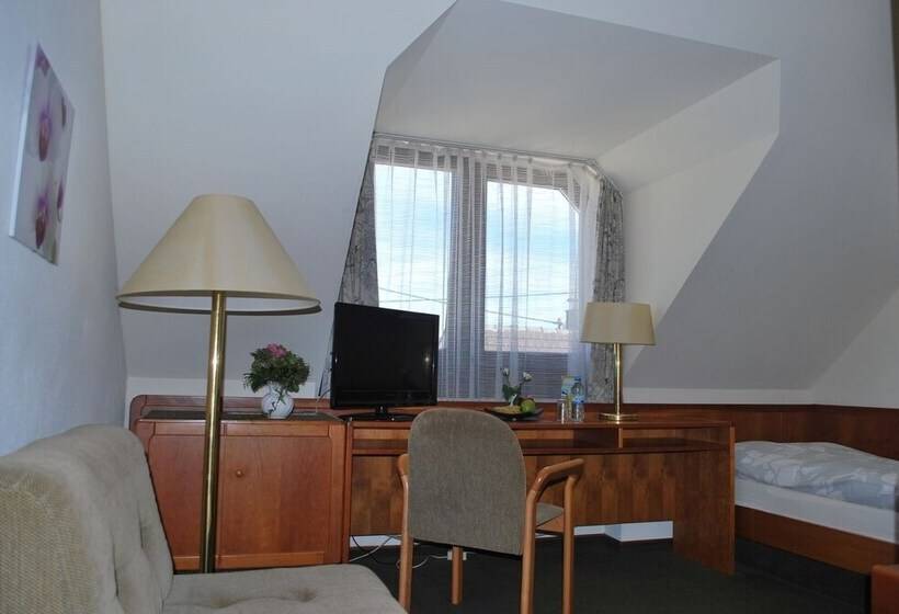 스탠다드 싱글 룸, Rheingauer Tor