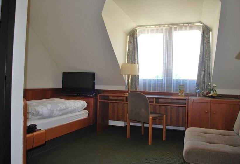 스탠다드 싱글 룸, Rheingauer Tor