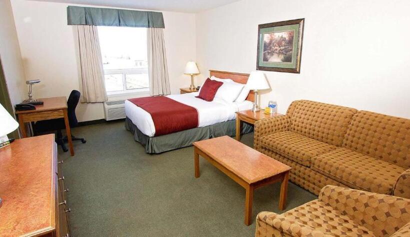 스탠다드 룸 킹사이즈 침대, Service Plus Inns & Suites Drayton Valley