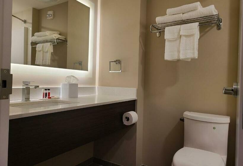 スタンダードシングルルーム, Super 8 By Wyndham Thompson