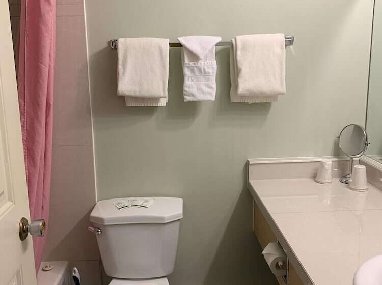 Franciaágyas Classic Szoba, Windsor Motel