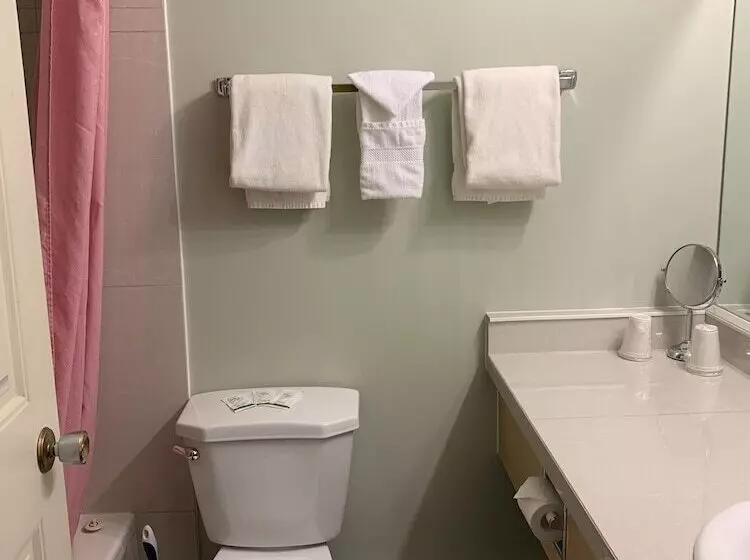 ダブルベッドのクラシックルーム, Windsor Motel
