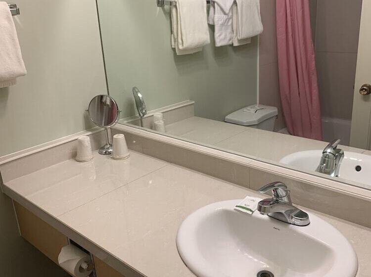 带双人床的经典房间, Windsor Motel