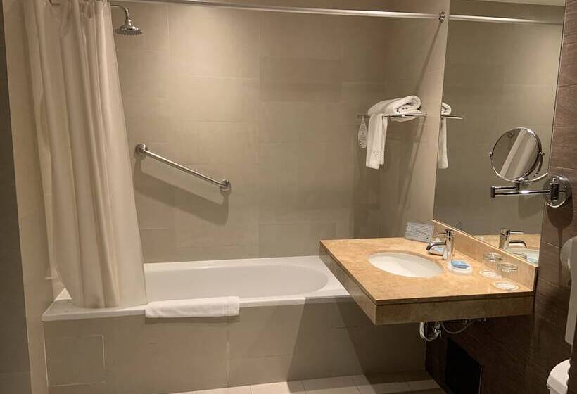 اتاق پرمیوم, Arawi Miraflores Prime