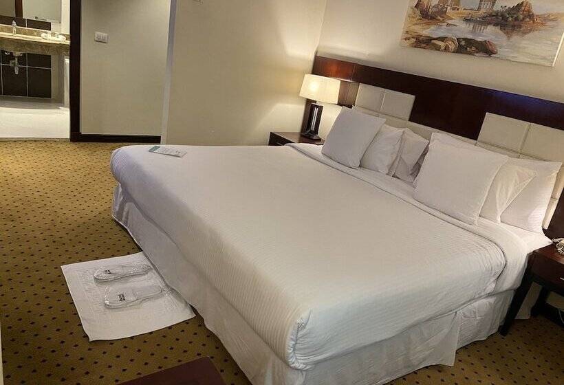 اتاق سوپریور, Barcelo Cairo Pyramids
