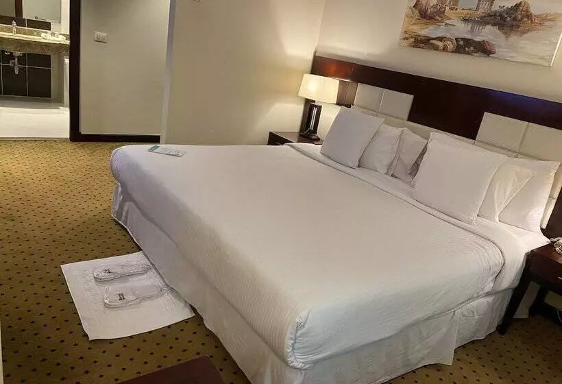 اتاق سوپریور, Barcelo Cairo Pyramids