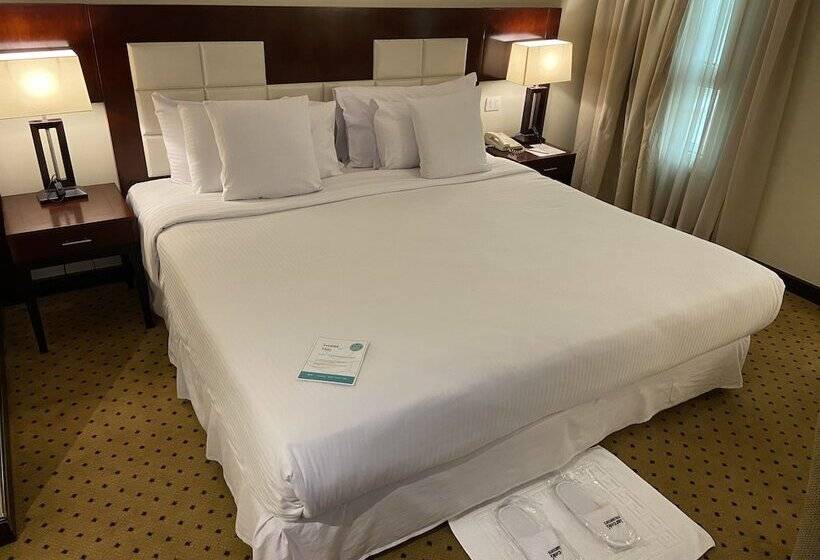 اتاق سوپریور, Barcelo Cairo Pyramids