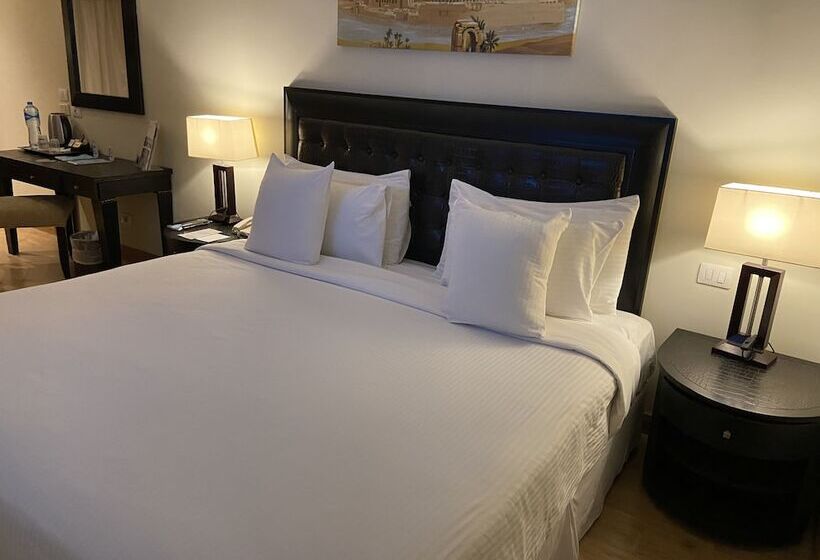 سوییت جونیور لوکس, Barcelo Cairo Pyramids