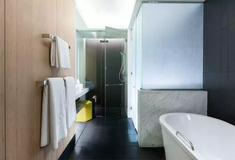 اتاق دلوکس با تخت کینگ و چشم‌انداز, Sofitel Dubai Downtown