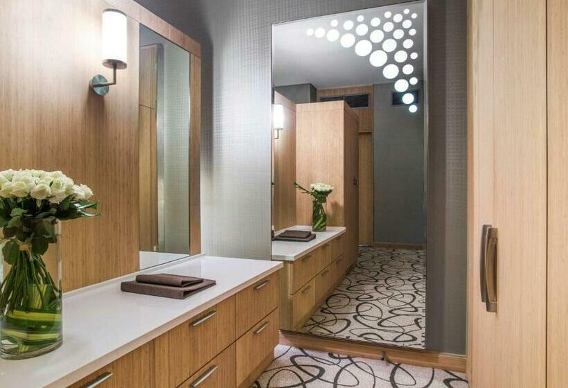 اتاق دلوکس با تخت کینگ و چشمانداز, Sofitel Dubai Downtown