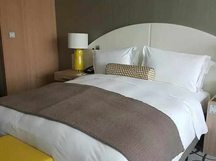 اتاق لوکس, Sofitel Dubai Downtown