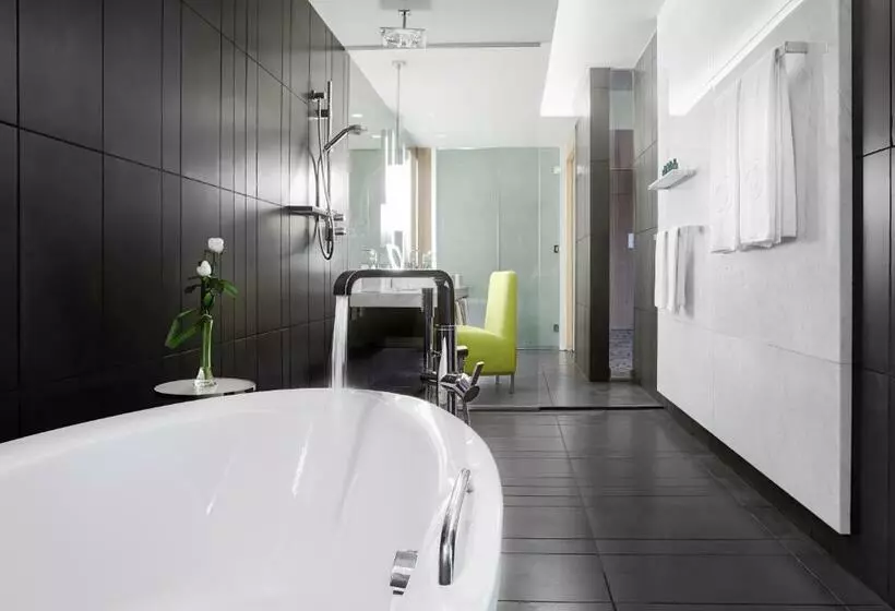سوئیت جونیور با تخت بزرگ, Sofitel Dubai Downtown