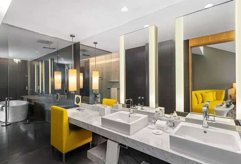 اتاق لوکس با چشم‌انداز, Sofitel Dubai Downtown
