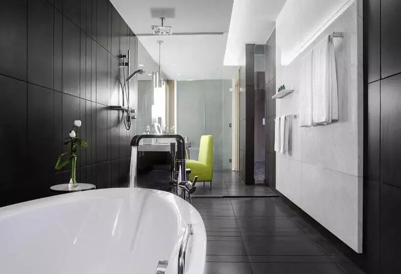 سوئیت جونیور با تخت بزرگ, Sofitel Dubai Downtown