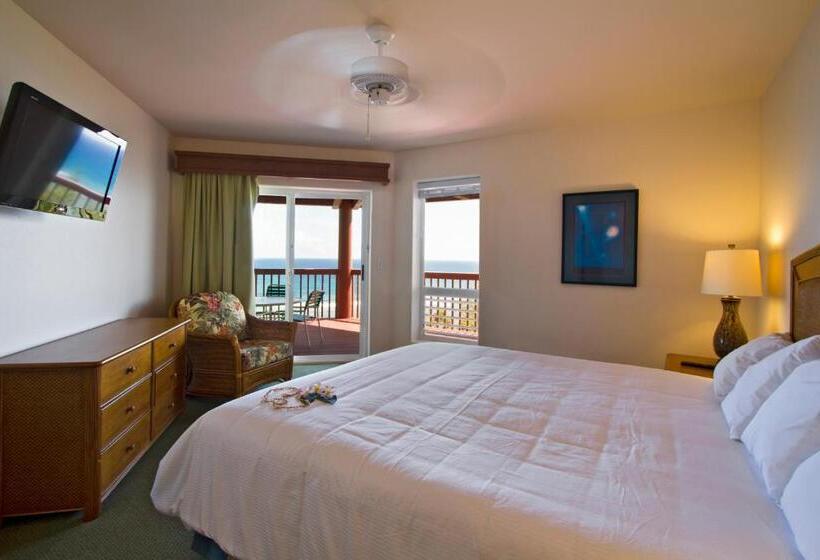 شقة غرفتين, Club Wyndham Shearwater