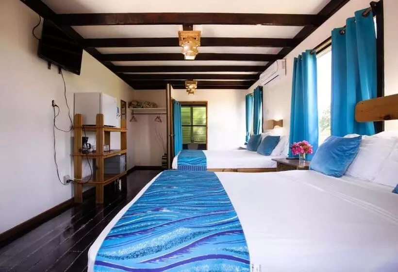 اتاق لوکس, Mango Inn Resort