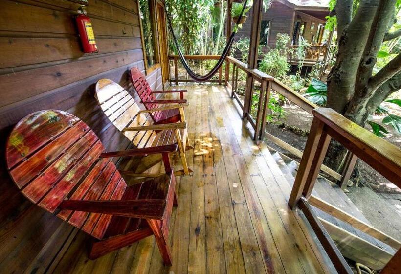 بانگلوی استاندارد, Mango Inn Resort