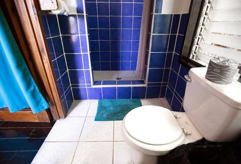 اتاق لوکس, Mango Inn Resort