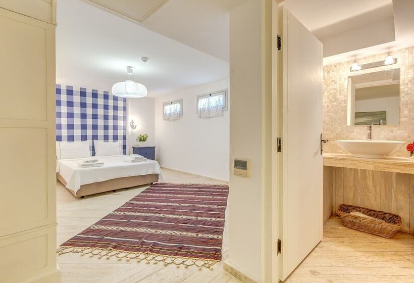 Habitació Economy, Ev Bharat Butique Hotel Alacati