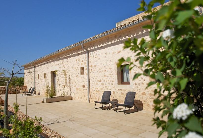 스탠다드 룸, Bennoc Petit Hotel Only Adults