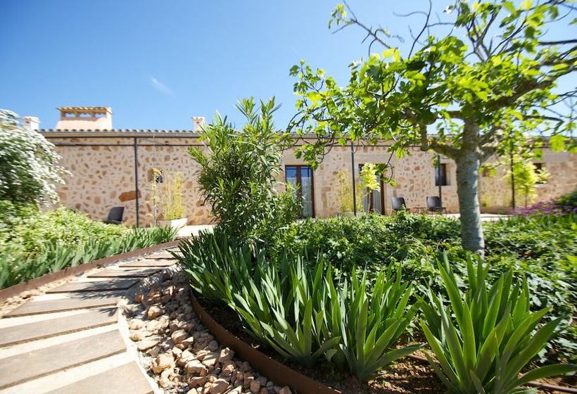 스위트, Bennoc Petit Hotel Only Adults