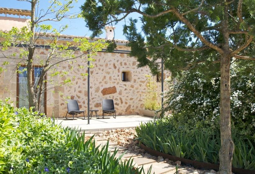 스위트, Bennoc Petit Hotel Only Adults