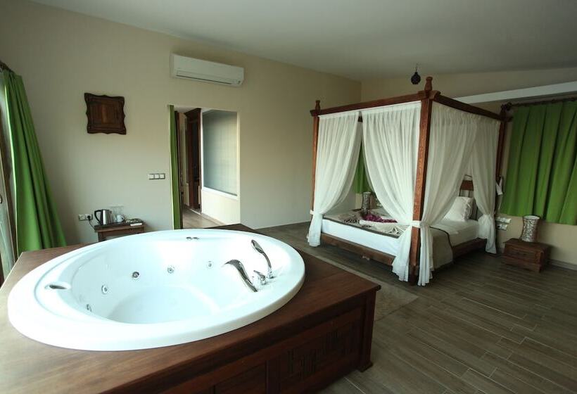 جناح ديلوكس مطل على البحر, Lissiya