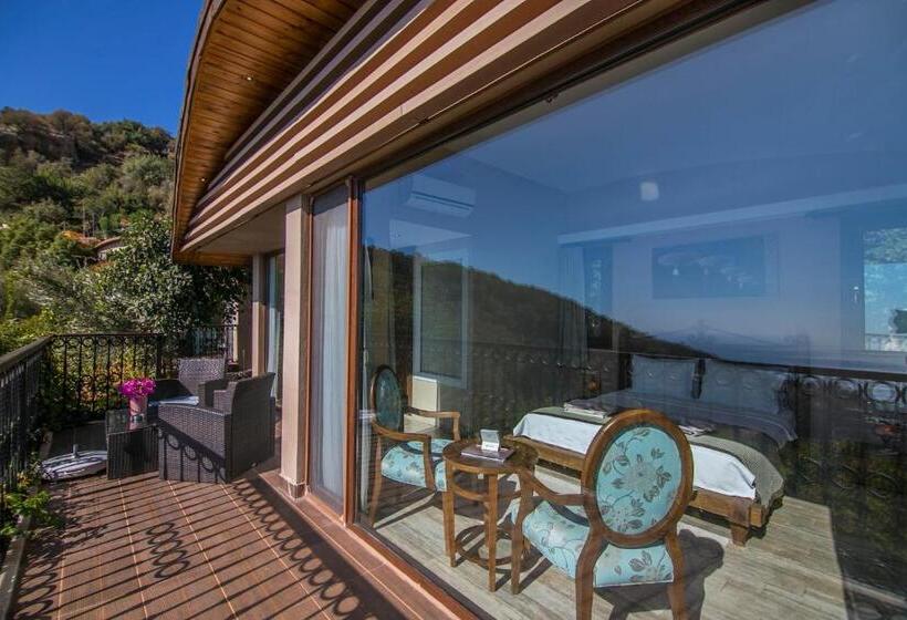 غرفة قياسية, Lissiya