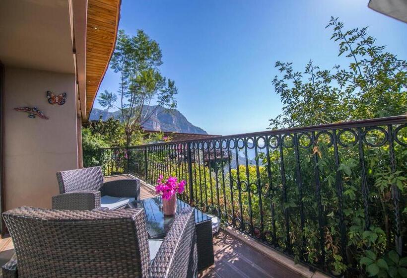 غرفة قياسية, Lissiya