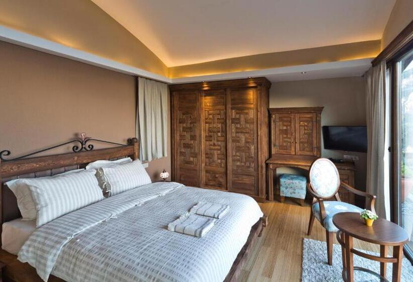 غرفة قياسية, Lissiya