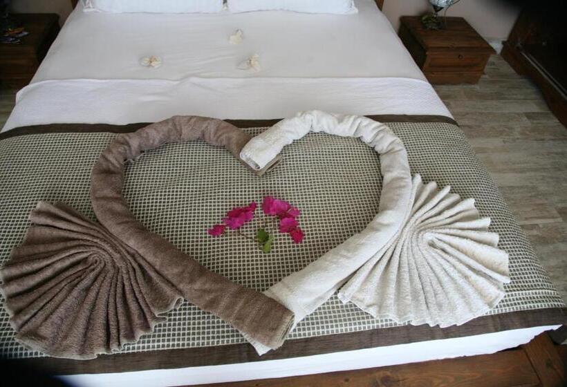 غرفة قياسية, Lissiya