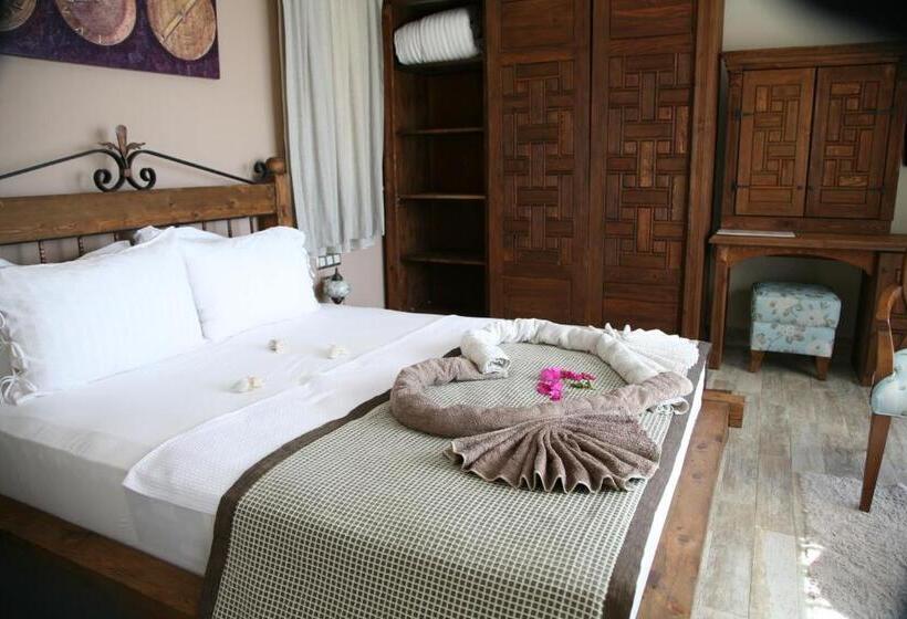 غرفة قياسية, Lissiya