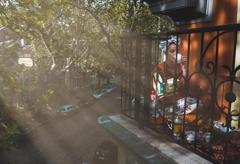 스탠다드 룸, My Guest Rooms