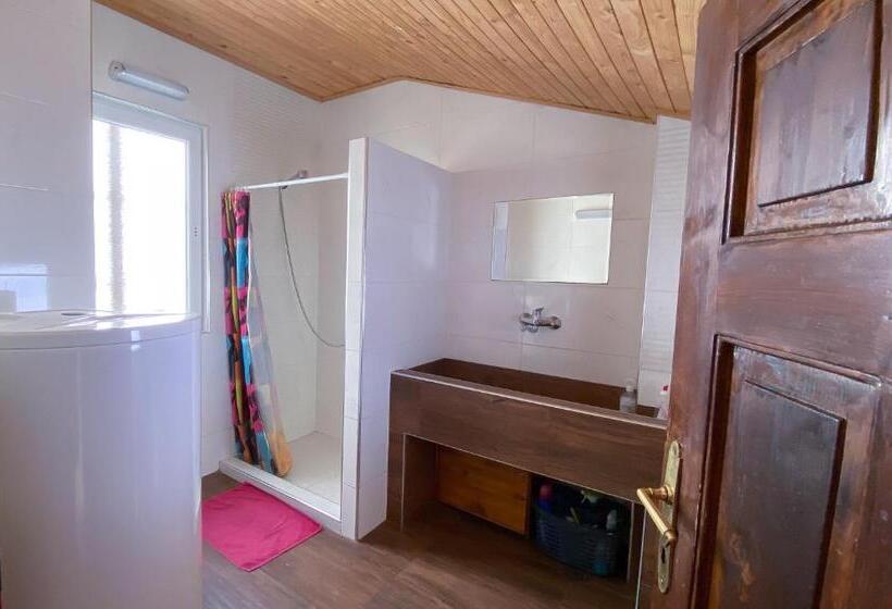 스탠다드 룸, My Guest Rooms