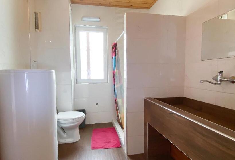 스탠다드 룸, My Guest Rooms