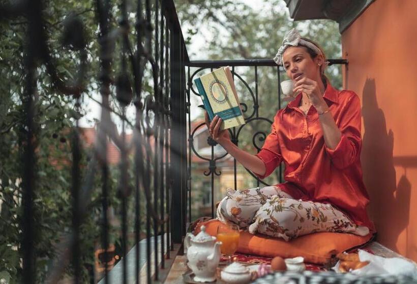 스탠다드 룸, My Guest Rooms