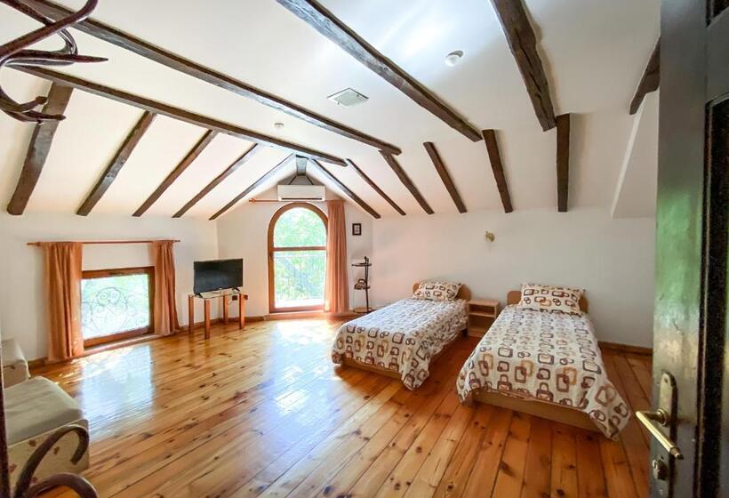 스탠다드 룸, My Guest Rooms