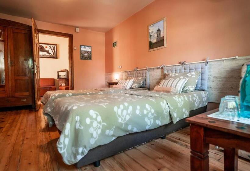 수피리어 룸, My Guest Rooms