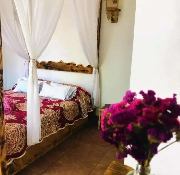 اتاق استاندارد با سرویس بهداشتی مشترک, Mi Atardecer En Tepoz, Hostal