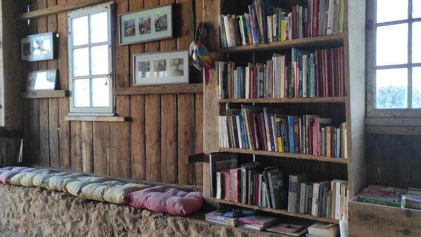 Номер Стандарт, Britavit