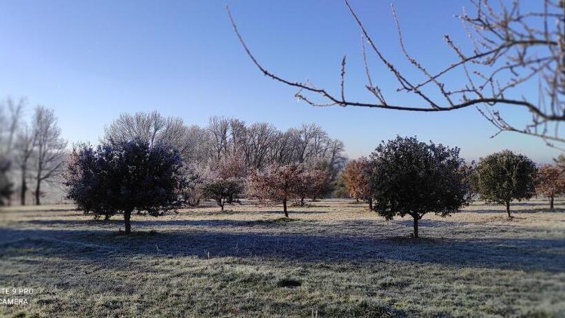 Номер Стандарт Вид на Сад, Britavit