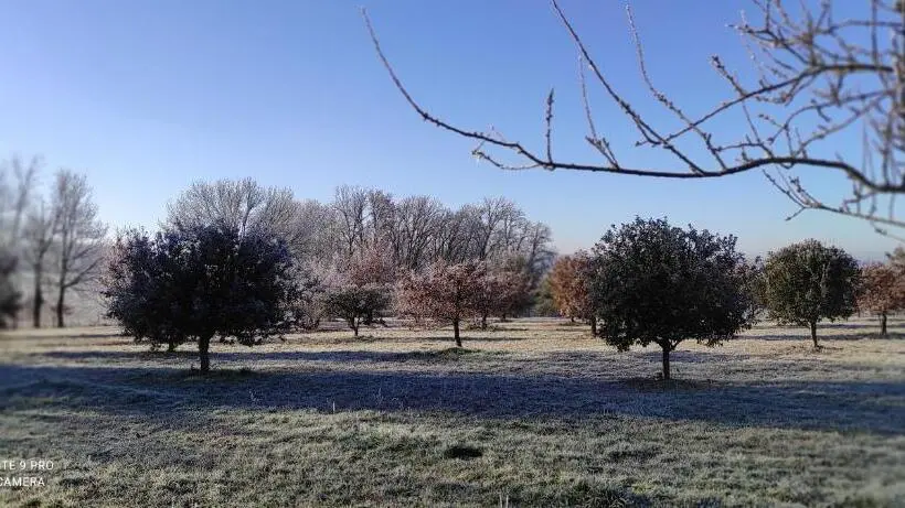 ガーデンビュースタンダードルーム, Britavit