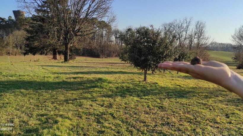 Номер Стандарт Вид на Сад, Britavit