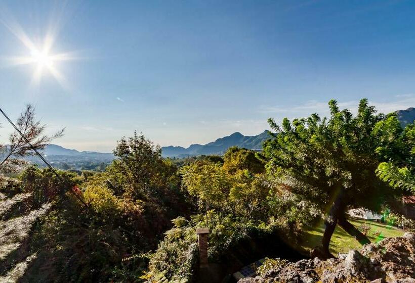 اتاق استاندارد با چشم‌انداز کوهستان, Casa Jacobina Tepoztlán