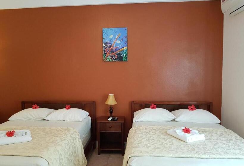 スタンダードルーム, Sea View Suites