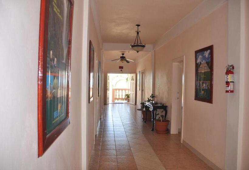 ガーデンビュースタンダードルーム, Sea View Suites