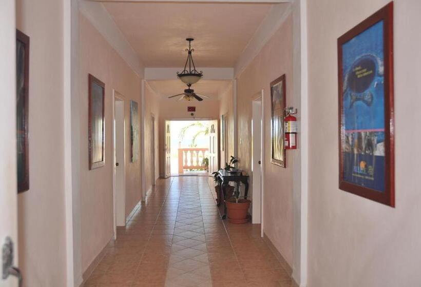 キングサイズベッドのデラックスルーム, Sea View Suites